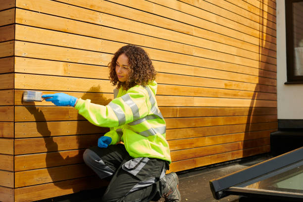 Best Stone Veneer Siding  in Florence, CO